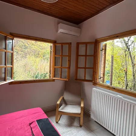 Forest View Aggeliki *